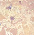 Срез камня ТЁМНЫЙ БЕЖ