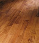 Вишня коричневая