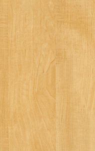 сосна элитная 1E-80