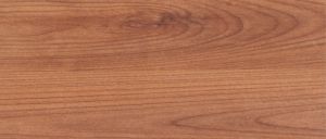 D2941 Вишня Зина PR