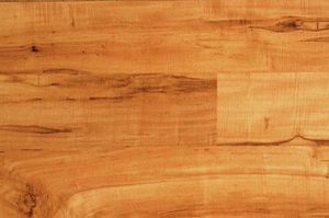 Клен светлый