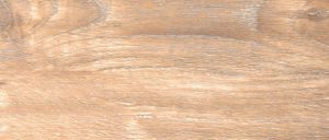 62 Дуб Известковый