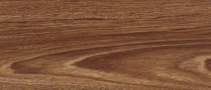 D2282 Джатоба