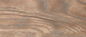 62 Дуб известковый