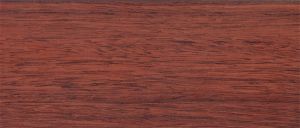  D2444 Вишня бразильская